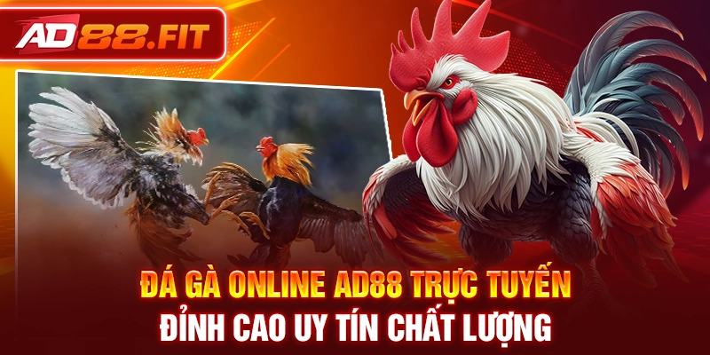 Đá Gà Online AD88 Trực Tuyến Đỉnh Cao Uy Tín Chất Lượng